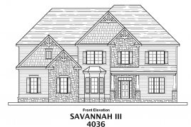 Savannah III 