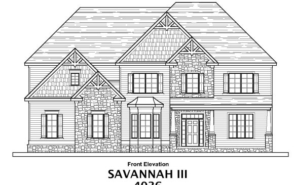 Savannah III